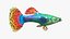 Guppy Fish Red Dragon Rigged for Maya