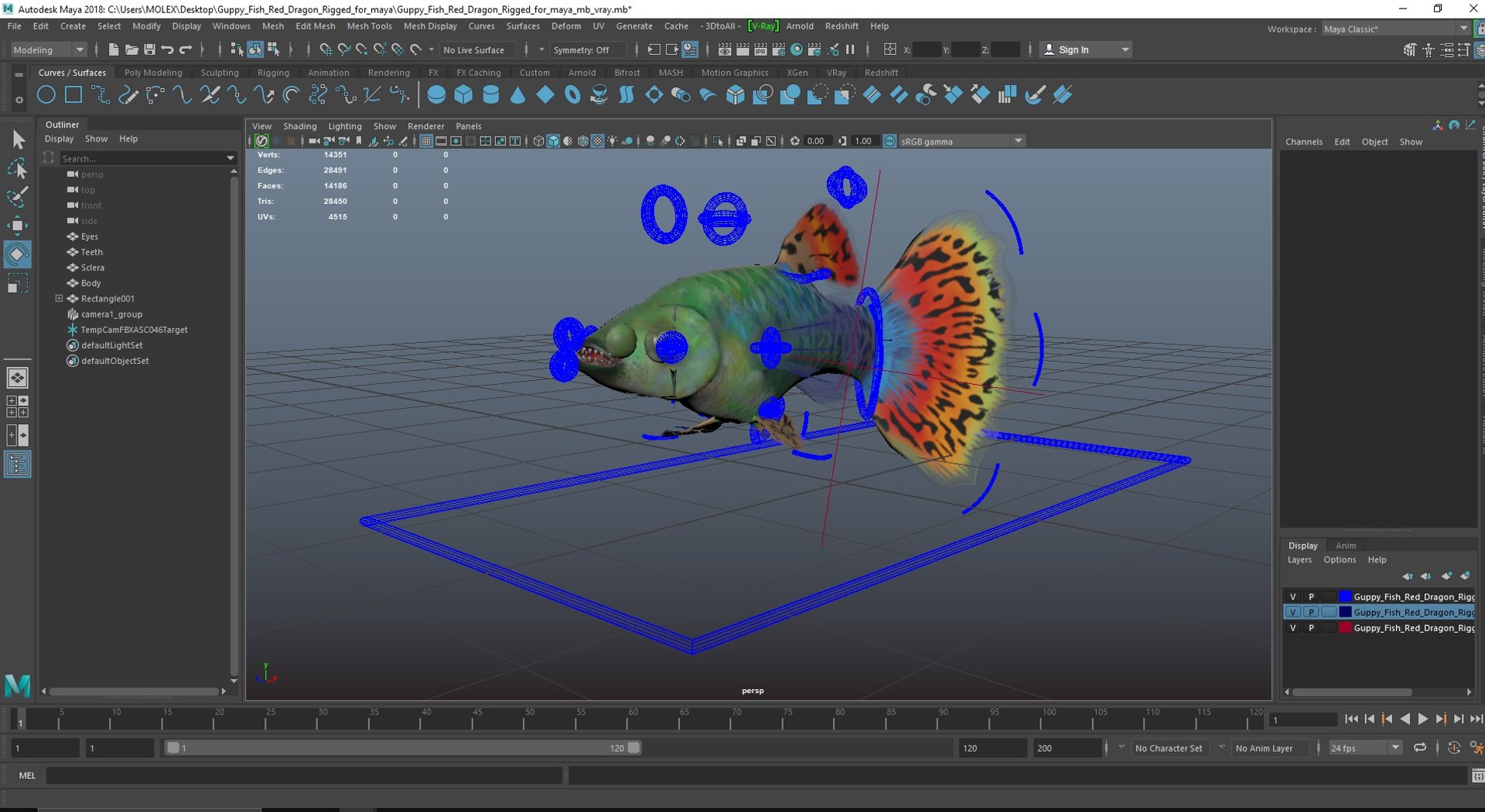 3D Guppy Fish Red Dragon Rigged for Maya https://p.turbosquid.com/ts-thumb/4l/JAYWLn/2d/guppyfishreddragonriggedformayac4dmodel041/jpg/1725522826/1920x1080/fit_q87/5137bc21905ba2c6d23e72109f4d8bb811b6f48c/guppyfishreddragonriggedformayac4dmodel041.jpg