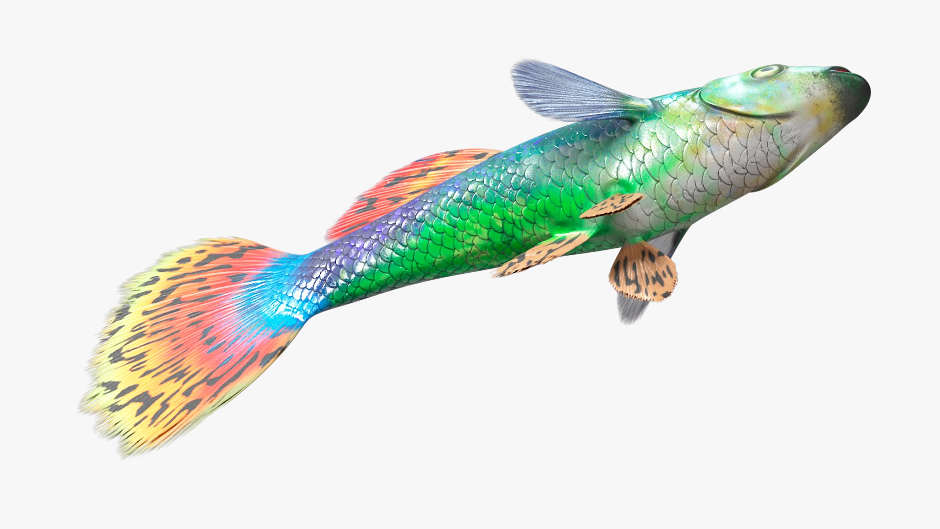 3D Guppy Fish Red Dragon Rigged for Maya https://p.turbosquid.com/ts-thumb/4l/JAYWLn/9c/guppyfishreddragonriggedformayac4dmodel015/jpg/1725522737/1920x1080/fit_q87/8a8a9fef3eeb89b000e51979a8a132b20434be6b/guppyfishreddragonriggedformayac4dmodel015.jpg