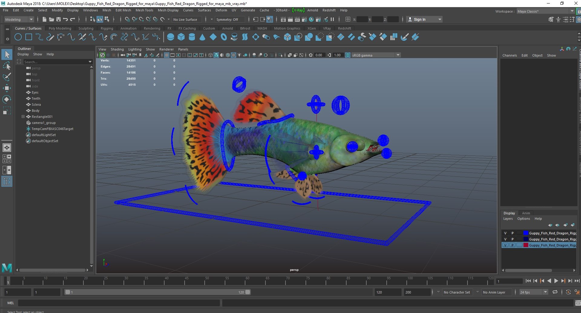 3D Guppy Fish Red Dragon Rigged for Maya https://p.turbosquid.com/ts-thumb/4l/JAYWLn/L6/guppyfishreddragonriggedformayac4dmodel038/jpg/1725522817/1920x1080/fit_q87/25ca6942def0cd4676607d00b83259df342b0906/guppyfishreddragonriggedformayac4dmodel038.jpg