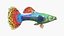 Guppy Fish Red Dragon Rigged for Maya