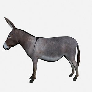 donkey 3d max
