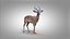 Impala RIG Xgen-Core