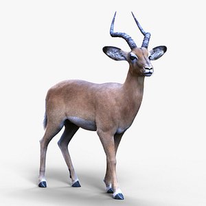 3D Impala RIG Xgen-Core