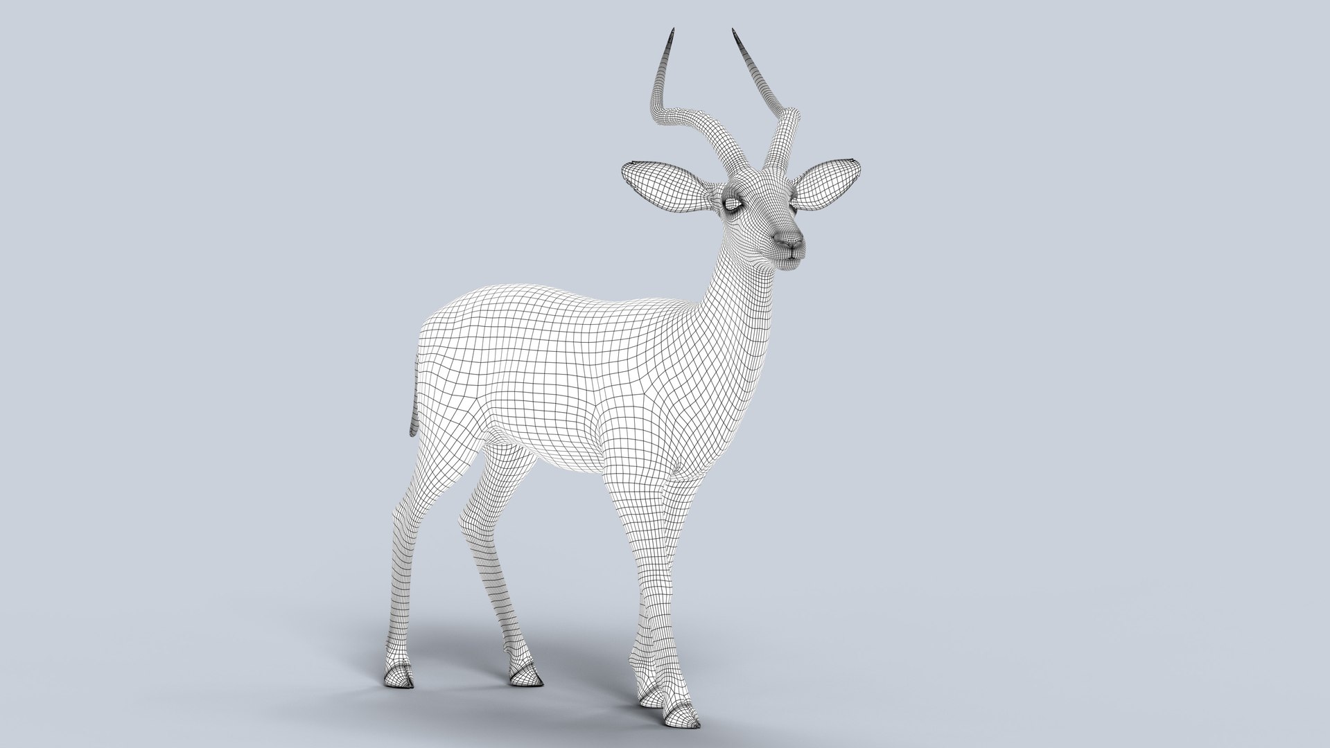 3D Impala RIG Xgen-Core https://p.turbosquid.com/ts-thumb/4l/OtYqwz/ja/wire01/jpg/1737255639/1920x1080/fit_q87/20dbf4c2076663bc3fb0bedbf6035e123a7c9c6c/wire01.jpg