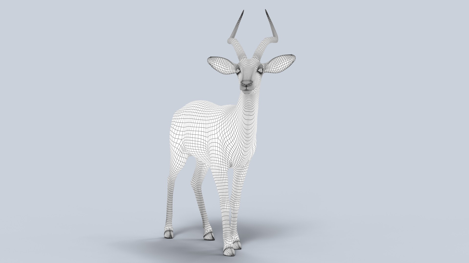 3D Impala RIG Xgen-Core https://p.turbosquid.com/ts-thumb/4l/OtYqwz/kv/wire02/jpg/1737255639/1920x1080/fit_q87/36f99db7bcd70db4e8a5529fc99092f9263641bb/wire02.jpg