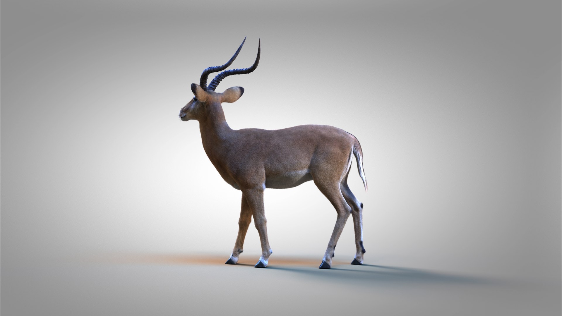 3D Impala RIG Xgen-Core https://p.turbosquid.com/ts-thumb/4l/OtYqwz/pj/05/jpg/1737255632/1920x1080/fit_q87/f8705702540fc83f5db042504dd671c60bb7e39e/05.jpg