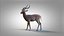 Impala RIG Xgen-Core