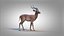 Impala RIG Xgen-Core
