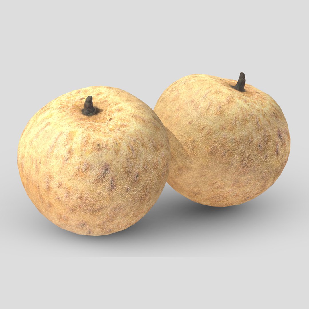 Longan Fruit Low Poly Model - TurboSquid 2366290