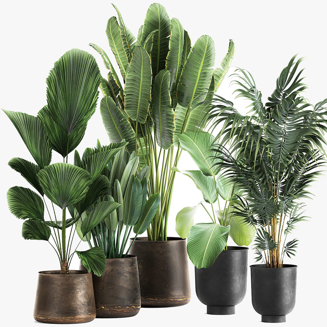 3D Plants In A Metal Flowerpot For The Interior 1085 - TurboSquid 1830934