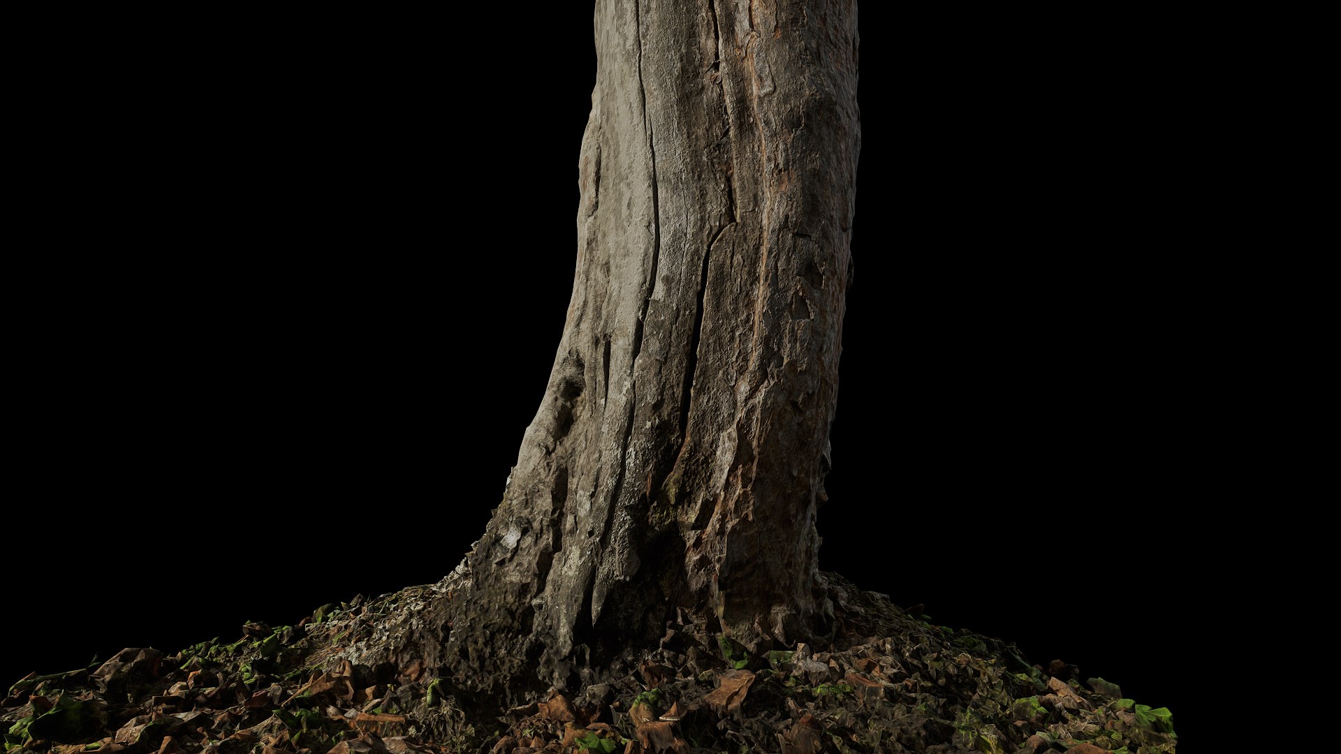 Anydrafts Rhododendron Lapponicum Trunk 02 3D Model - TurboSquid 2321937