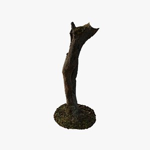Anydrafts Rhododendron lapponicum Trunk 02 3D model
