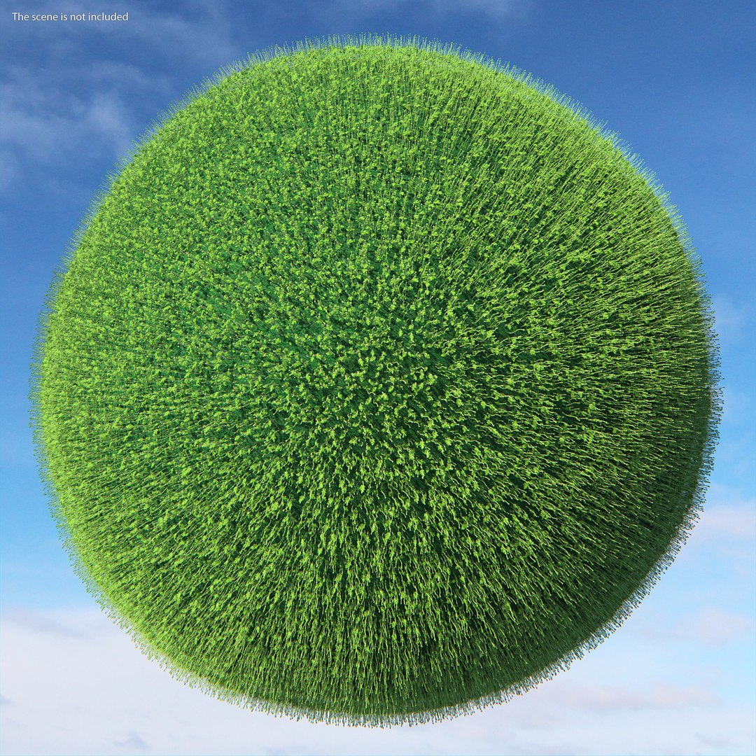 3D young poppy flower sprout model https://p.turbosquid.com/ts-thumb/4m/0sxKZE/a3DlJqjE/youngpoppyflowersproutmb3dmodel002/jpg/1592947539/1920x1080/fit_q87/b5e98e5a008933bb8b077a3a7b4c3f26772d2061/youngpoppyflowersproutmb3dmodel002.jpg