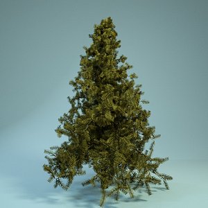 animation tree 3d model