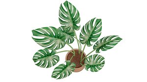 Modern exotic plant in a terracotta pot 3D model