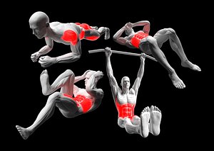 Abdominal Exercises Pack - Planks - Bicycles - Crunches - Leg Raises