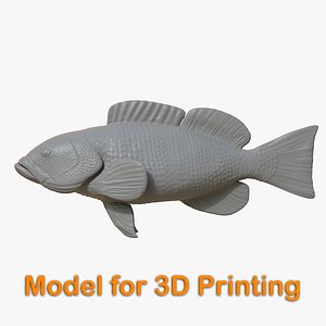 Fish Sculpture 3D model