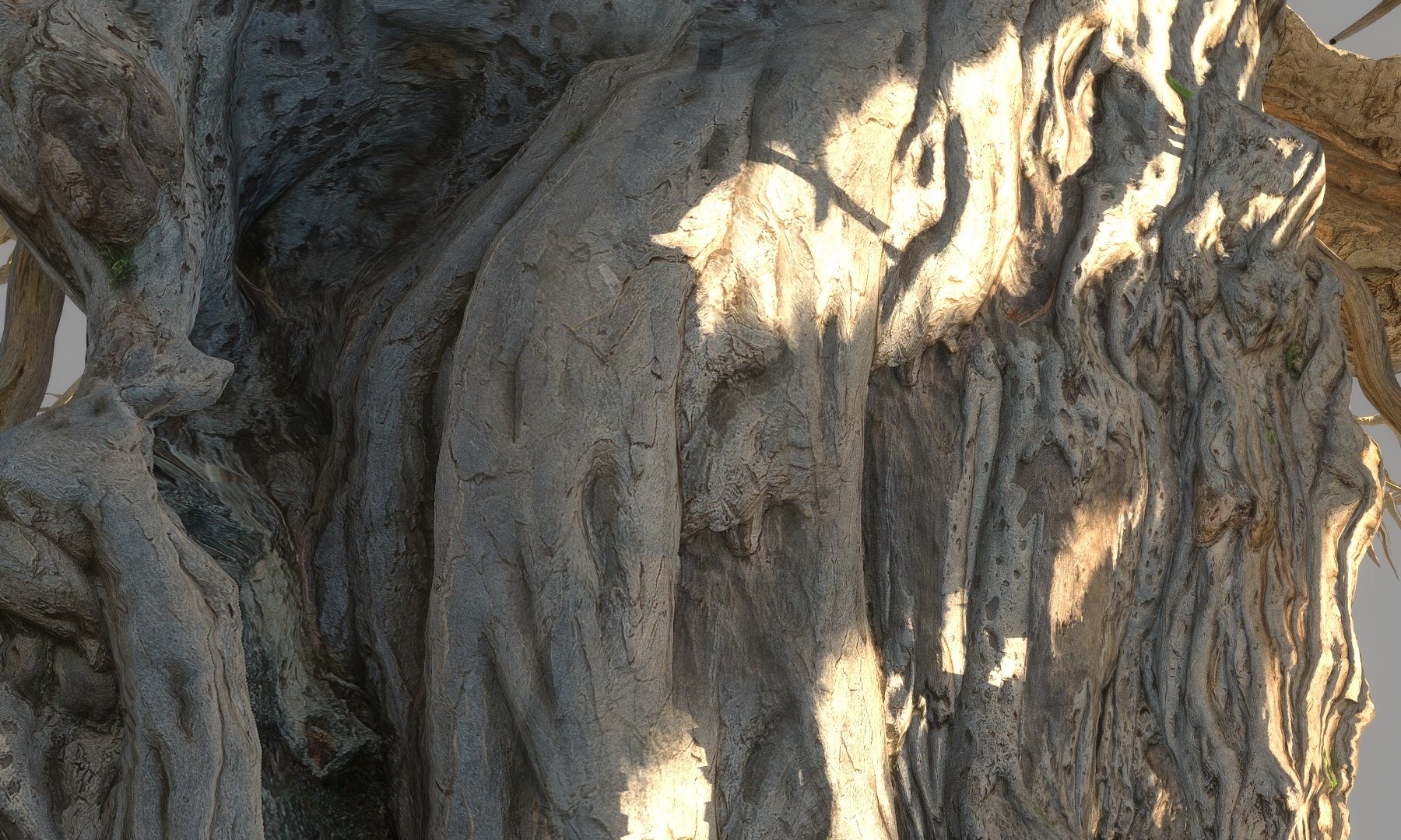 3D Dragon Tree Pack HD model https://p.turbosquid.com/ts-thumb/4m/6cNhdP/2s/a1256/jpg/1553805229/1920x1080/fit_q87/4c1d52f75c69b8deaa24261224d06ce433e8dd29/a1256.jpg