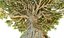 Dragon Tree Pack HD