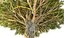 Dragon Tree Pack HD