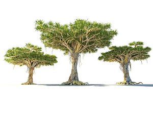 3D Dragon Tree Pack HD model