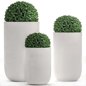 3D ornamental bushes flowerpots parks