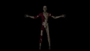 Mummy Corpse