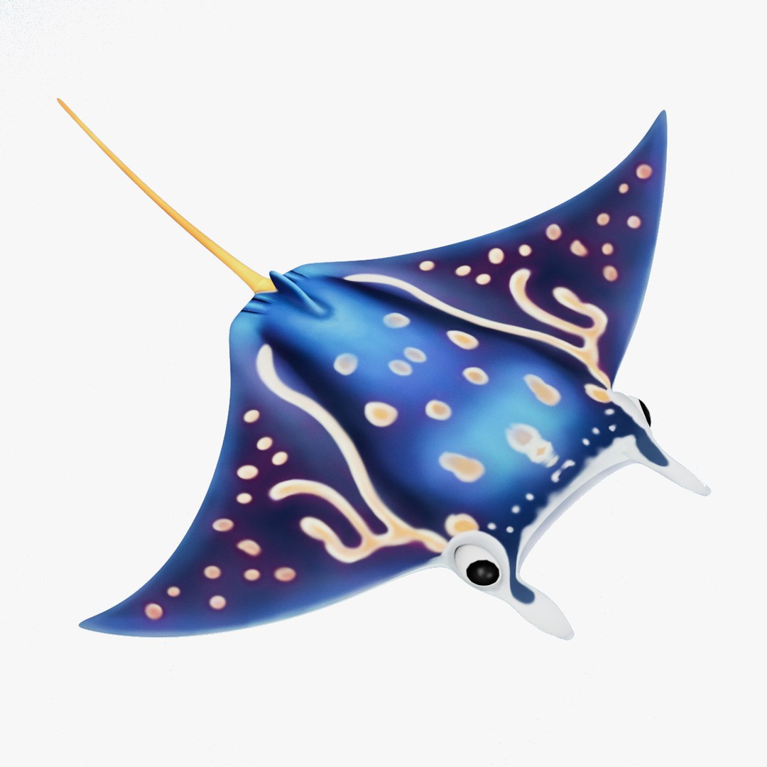 RayFishAnimate 3D - TurboSquid 2352875