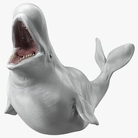Beluga Whale Adult Playful Pose