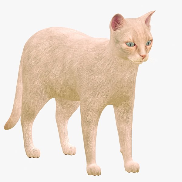 cat modeled 3D model