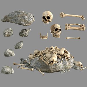 Bones Skulls and Stone Pile