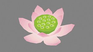 A pink lotus - Cartoon lotus - Open stamens 3D model