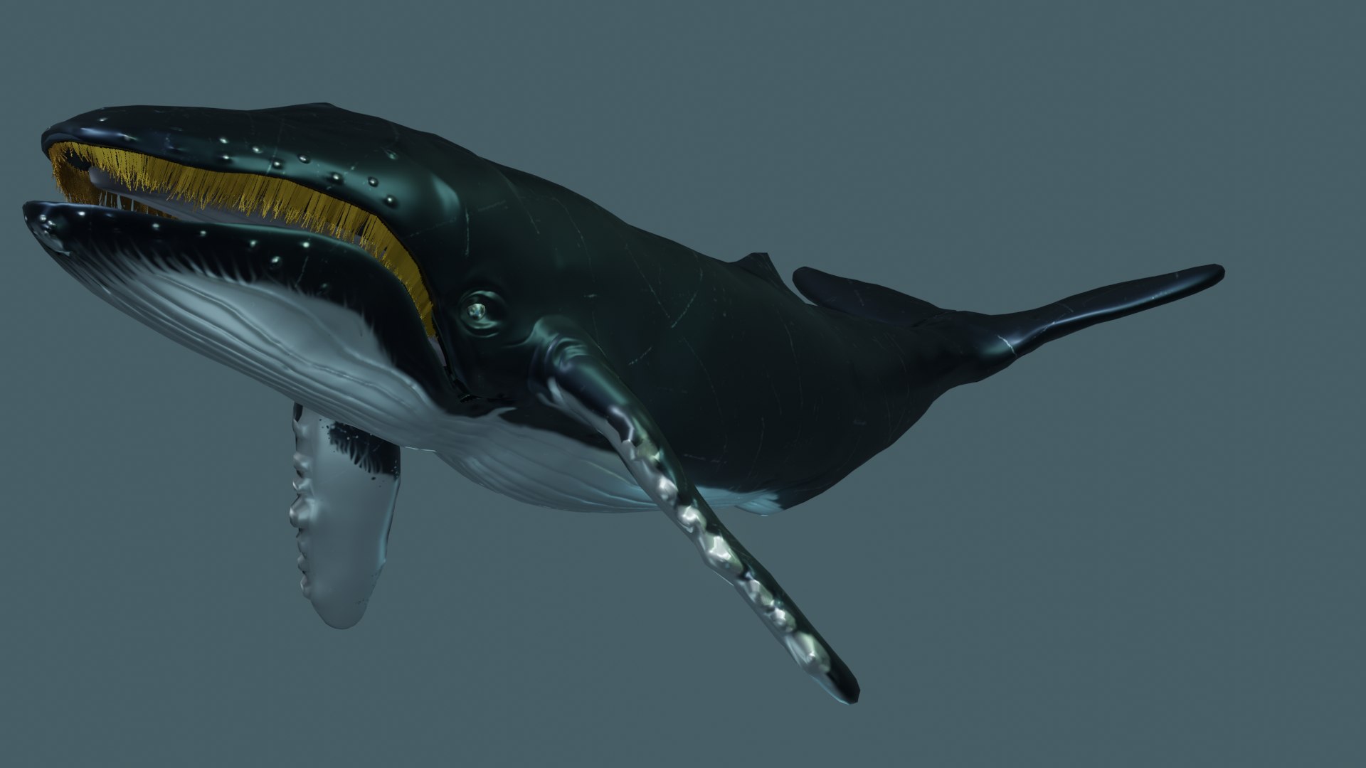 3D rigged teeth model https://p.turbosquid.com/ts-thumb/4m/pmSUsO/8RmszlFa/5/png/1601467194/1920x1080/fit_q87/299f23baaaf599bb06d86a764b00fd403047068e/5.jpg