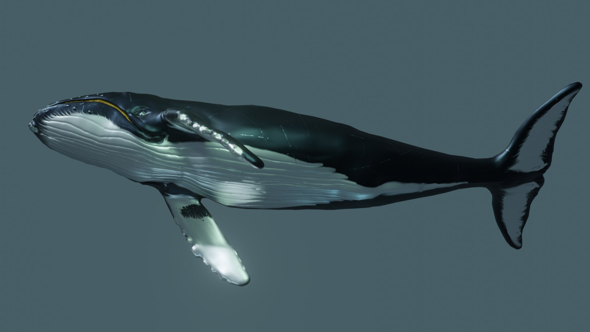 3D rigged teeth model https://p.turbosquid.com/ts-thumb/4m/pmSUsO/wNN9FEly/3/png/1601467152/1920x1080/fit_q87/a5965399557b57fe33e7b1ba5cbca0b339f7ed1a/3.jpg