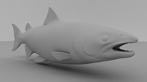 salmon fish 3D model