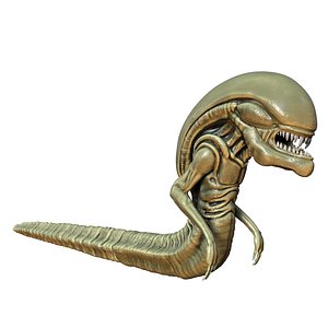 Alien Chestburster 3D model