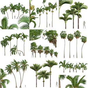 9 Different SETS of Tree Set Vol 22 3D model