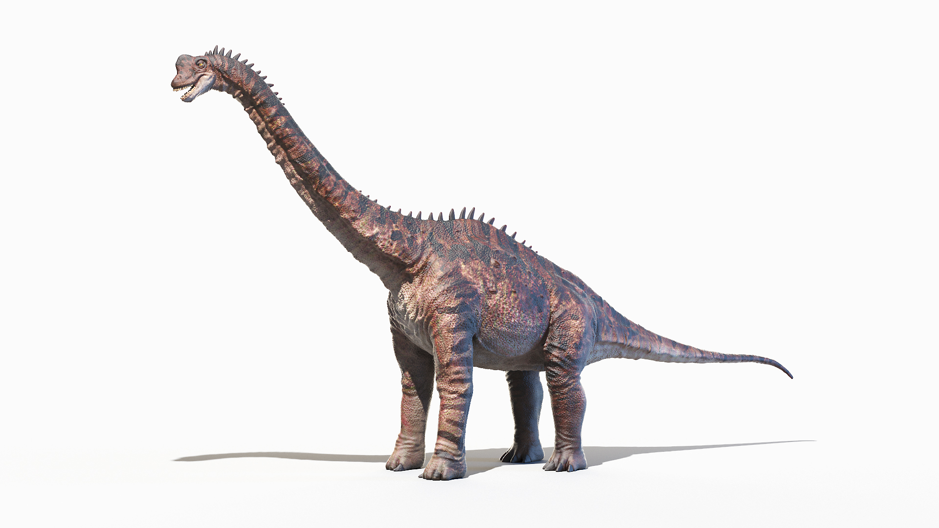 3D Europasaurus Animated - TurboSquid 1738823