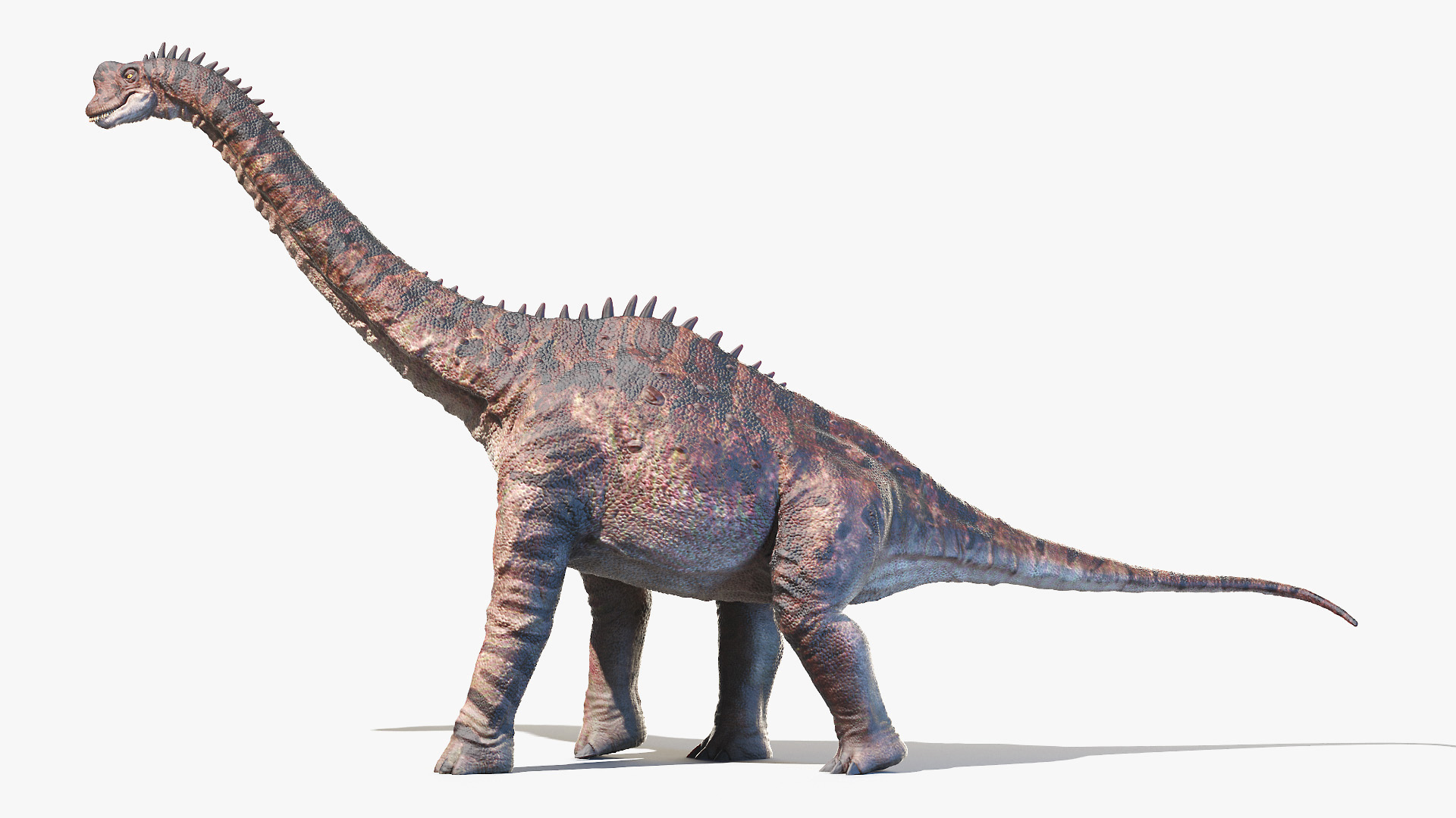 europasaurus dinosaur