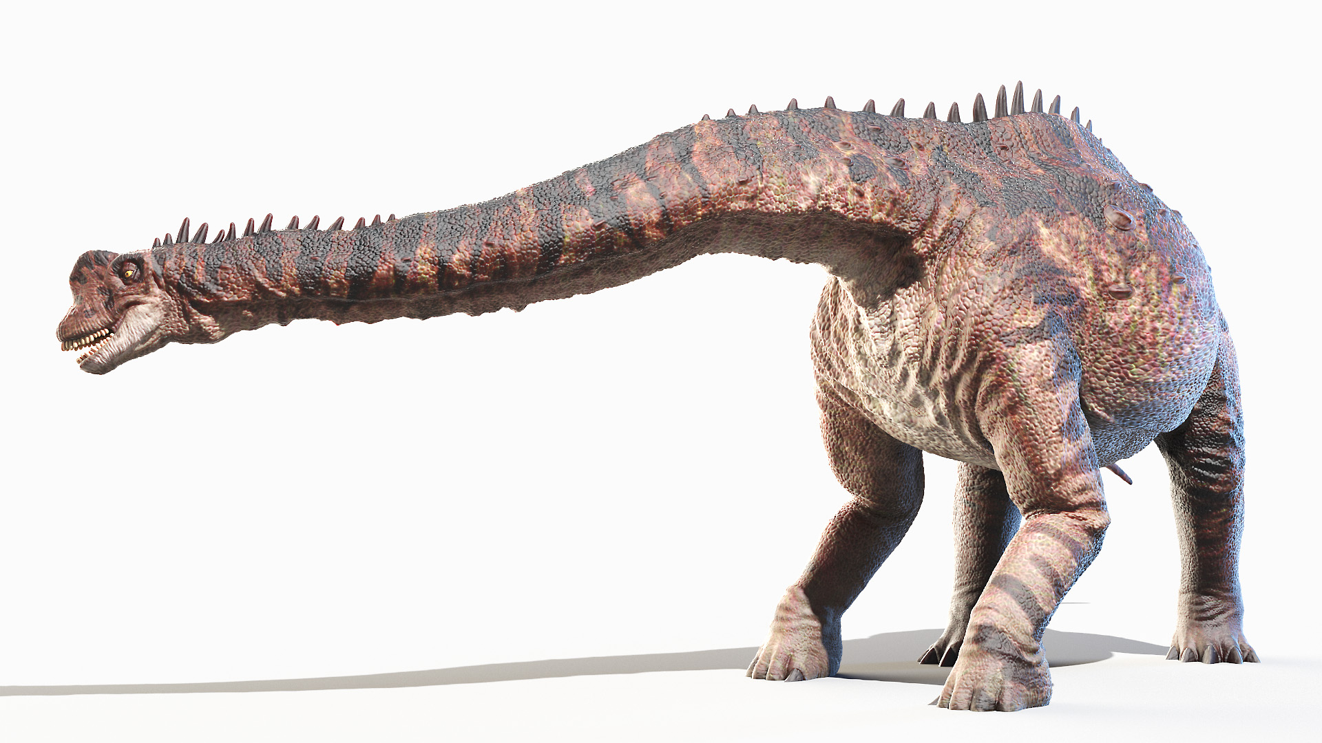europasaurus dinosaur