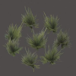 3D model grass