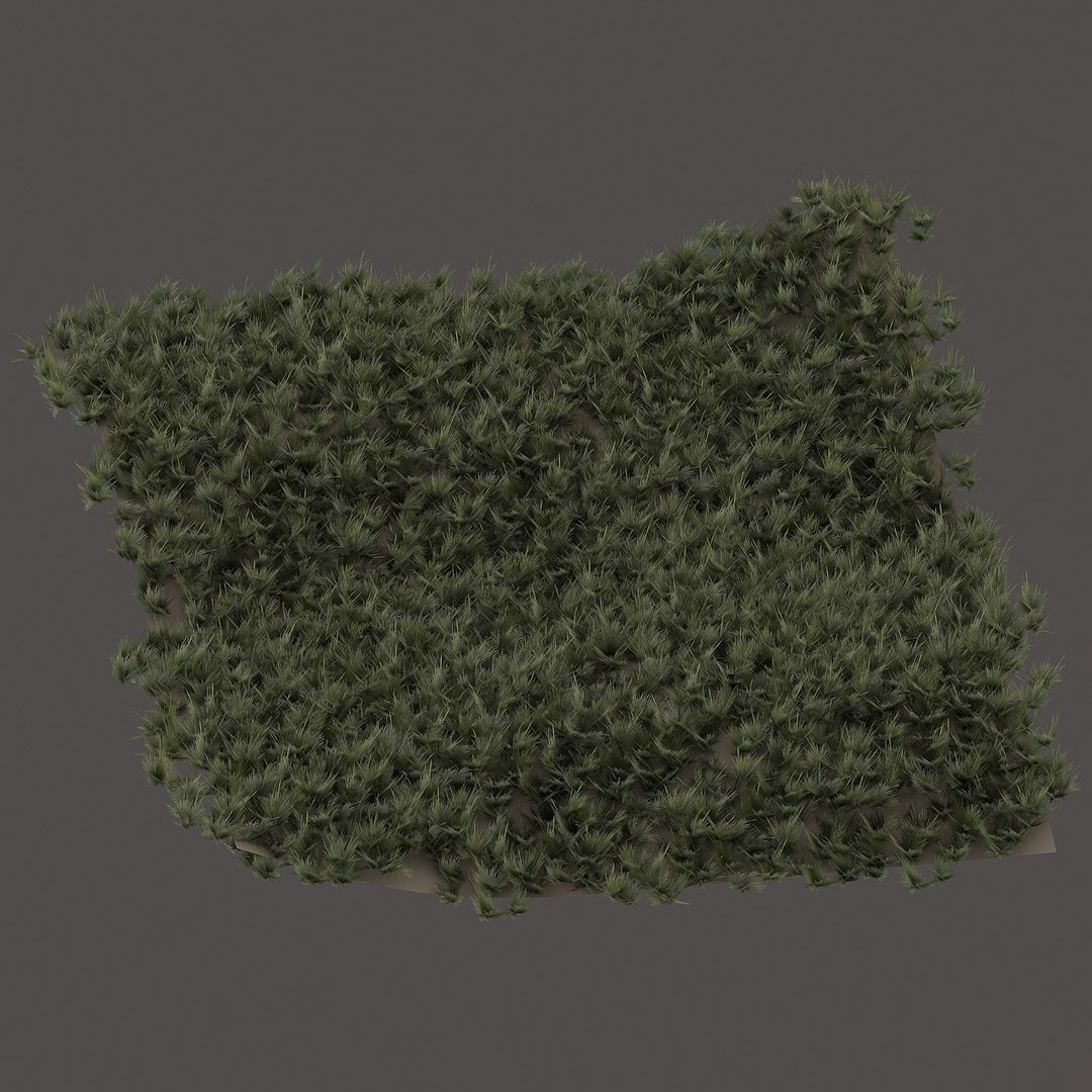 3D model grass https://p.turbosquid.com/ts-thumb/4n/ZOLd9T/UErbsw6G/3/jpg/1601885366/1920x1080/fit_q87/7384542fd4ab7cb605584a383199b8a52a446235/3.jpg