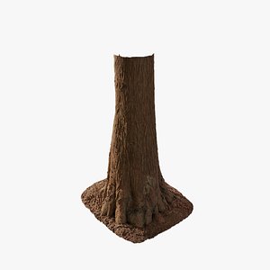 3D Anydrafts Taxodium ascendens Trunk 10