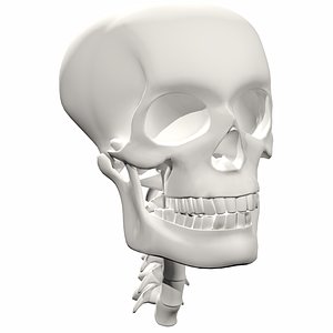 skull unreal 3D model