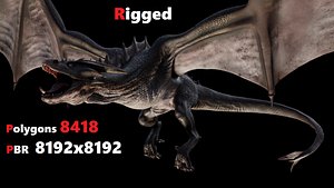 Dragon 8K Rigged