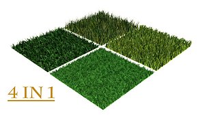 grass multi