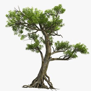 tree nature 3D model