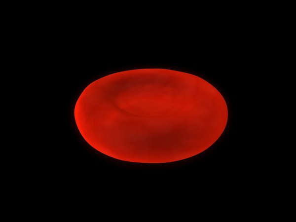 c4d erythrocyte