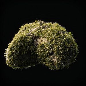 Moss Low Poly 14